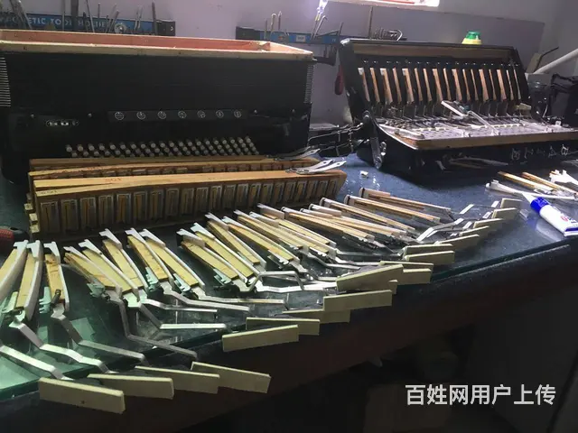 鹦鹉手风琴维修服务站，百乐金杯手风琴维修 - 图片 2
