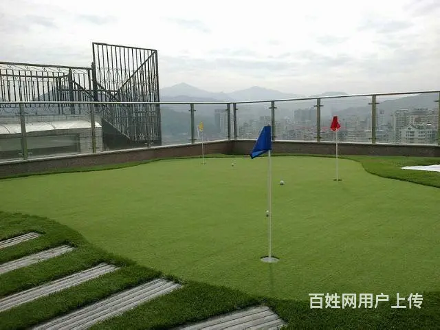 迷你高尔夫果岭练习场球场 高尔夫人工果岭 - 图片 3