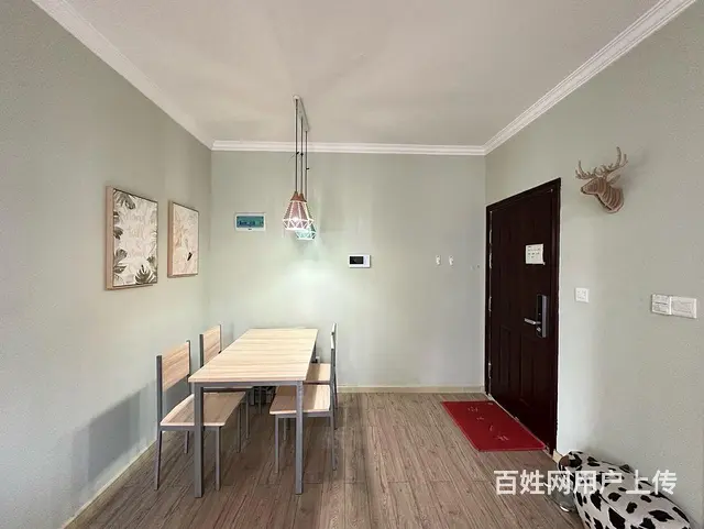 48地铁岳家嘴 精装修两室 中兴时代数码港 山河 - 图片 4
