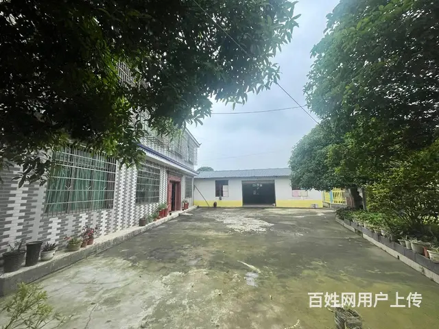 （老板本人）岳麓区含浦场地带整栋房屋出租  6305 - 图片 7