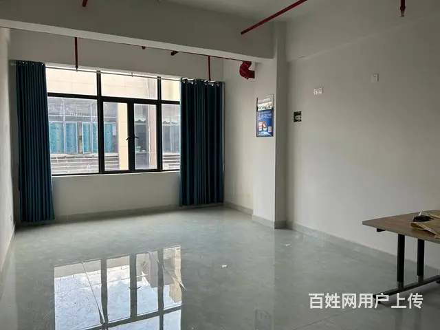 （51旺铺推荐）林安国际160平四层铺面房东直租 - 图片 3