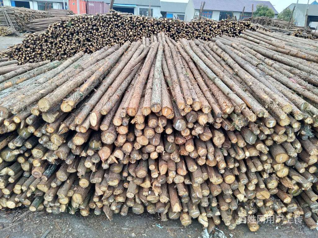 郑州杉木支撑杆厂家直销,批发价格实惠,量大从优