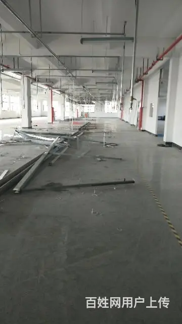 陆家郁金香路一楼厂房出租 - 图片