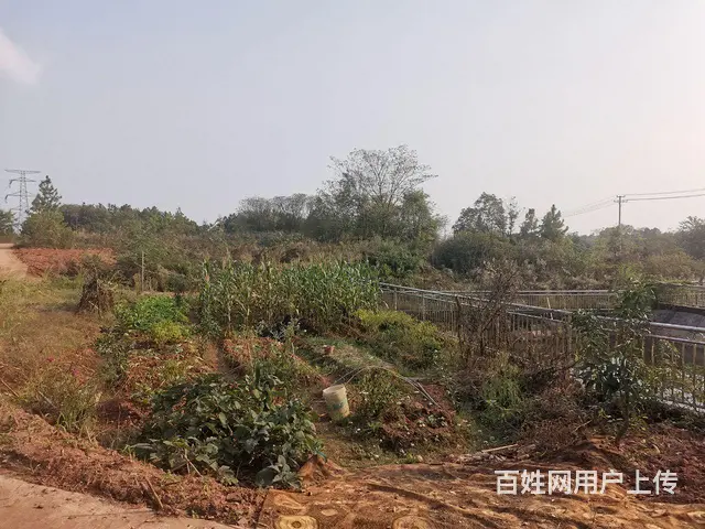 （老板房源）浏阳国际家具城附近1000平厂房仓库出租 - 图片 6