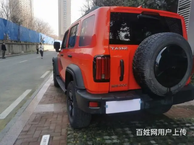 坦克300现车 - 图片 6