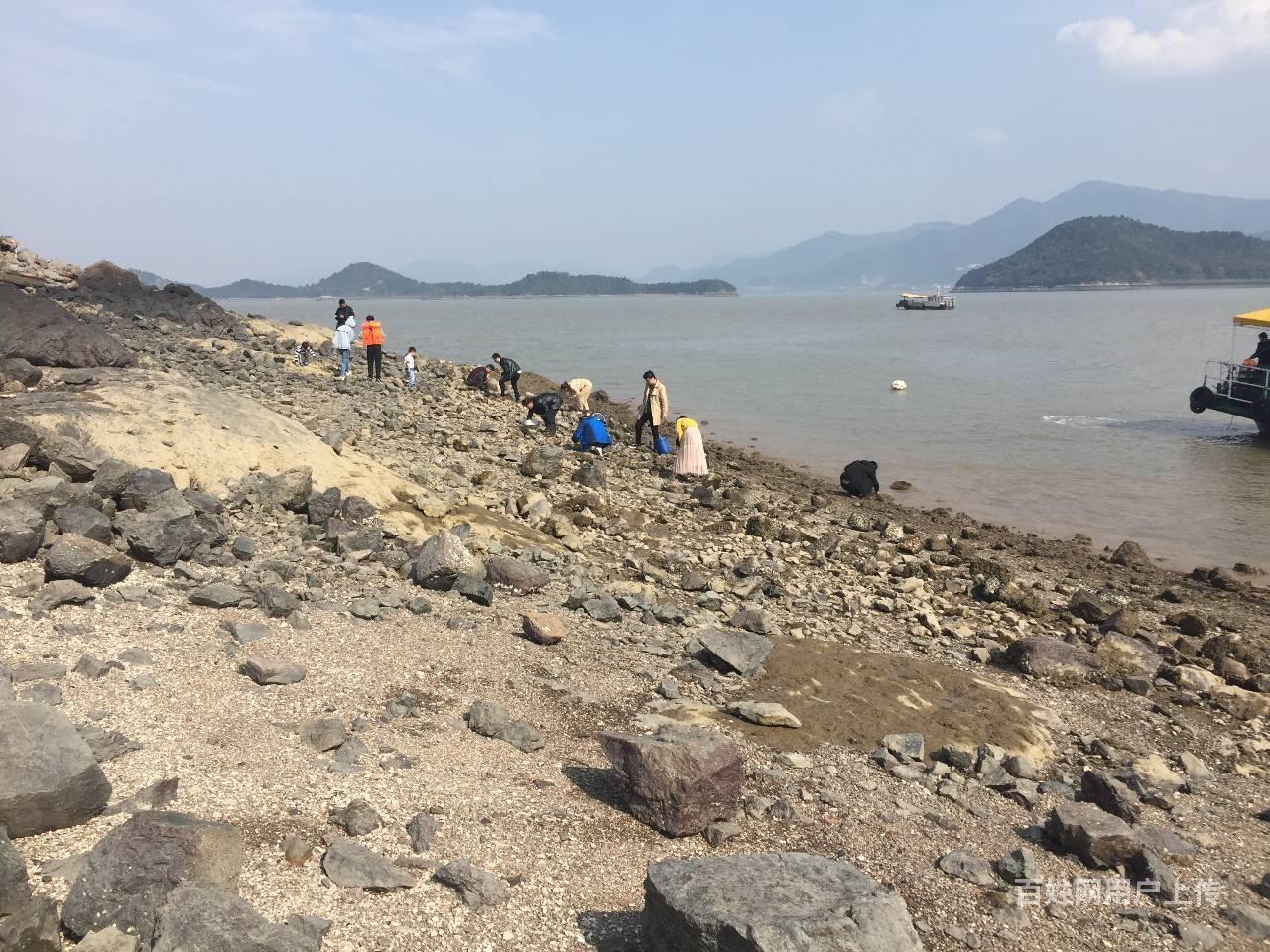 奉化蓴湖翡翠灣包船出海捕魚遊玩