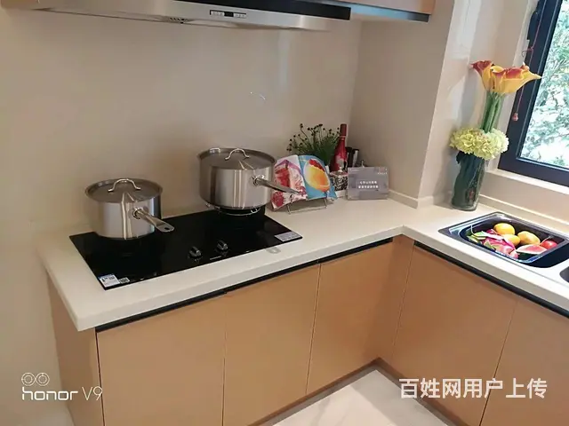 盛洋城市花园,南北通透正气户型，可落户可上学 - 图片 5