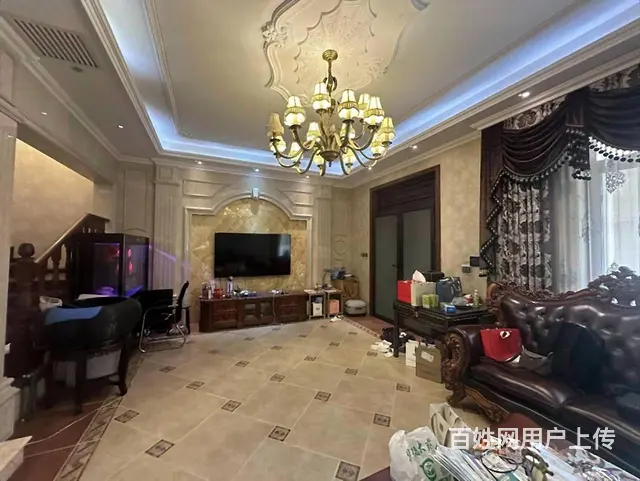 翠湖天地璞园别墅 580米 简欧风 前后花园  带独立车库 - 图片 8