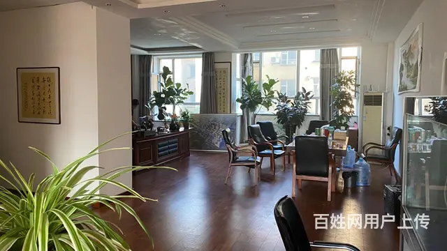 出租 - 图片 5
