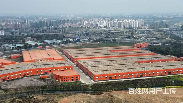 广汉市靠近青白江独栋单层厂房招租面积3000-13万方 - 图片 4