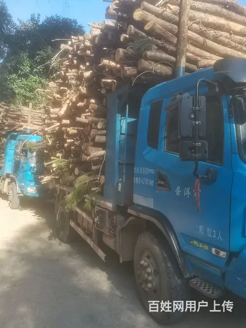 湖北大运 风度 自卸车 国4 - 图片 1