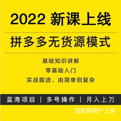 拼多多无货源店群  发展？新手做自然流量还是付费模 - 图片 1