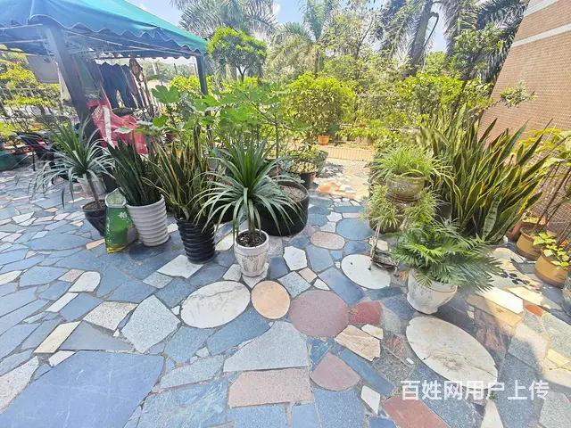 好房带大露台 带杂物房 体育旁 第九十二 满五   双卫 - 图片 12