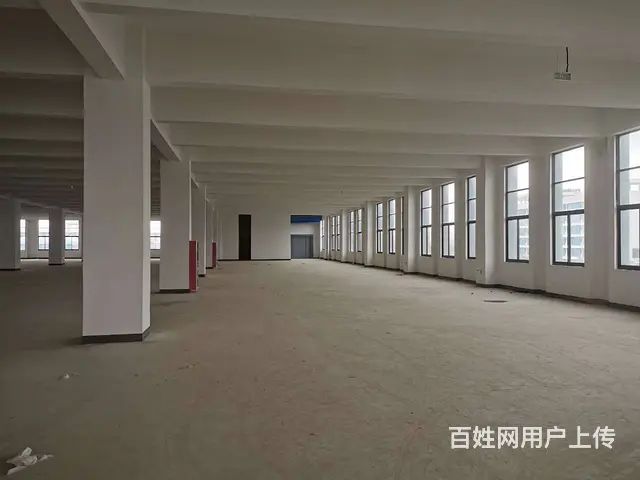 碧溪沿江开发区全新1至3层共10000平，5吨货梯，场地大。 - 图片 5
