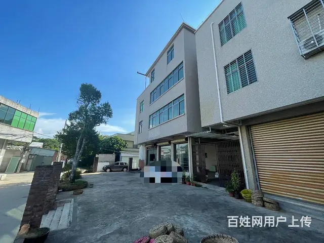 （51旺铺推荐）美兰区新埠岛650平整栋出租 - 图片 2