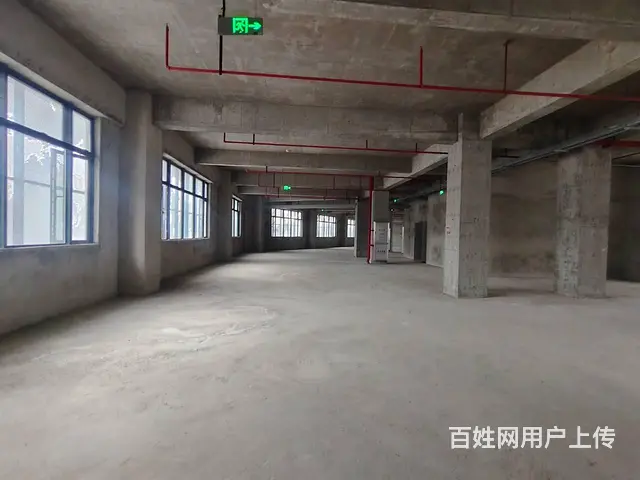（51旺铺推荐）南沙路整栋4351平招商 - 图片 6