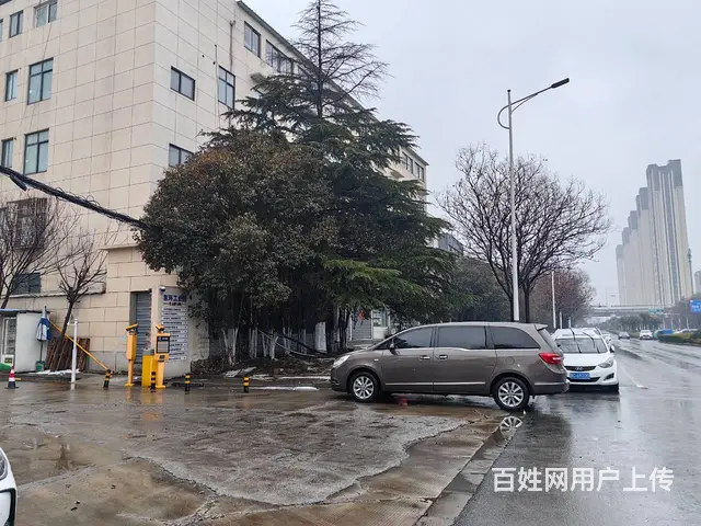 （城市在线找房免费）金山桥桃山路附近标准钢结构厂房招租 - 图片 2