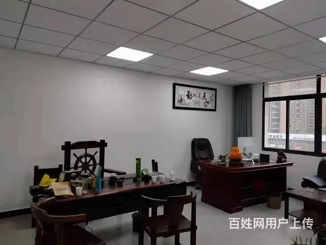 （老板本人）望城区砂之船附近精装修公寓房低价出租 - 图片 2