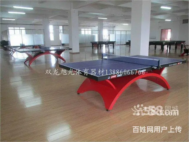 武汉乒乓球台,武汉发球机,红双喜双鱼2013新年特 - 图片 3