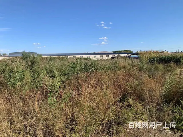 60亩建设用地 - 图片 2
