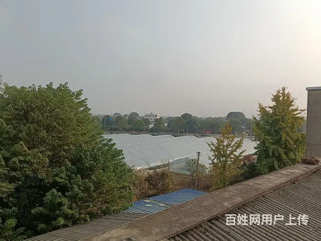 场地4亩出租，榔梨街道金托村踏塘组中建五局附近 - 图片 7