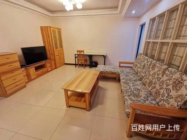 精装大两房带阳光房 湘雅附一 烈士公园 四季花城 公园九号 - 图片 1