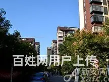 砀山华府名都学区 - 图片 2