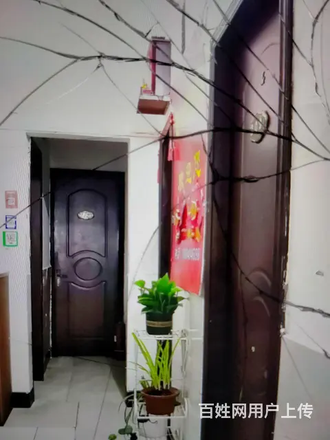 旅馆急转 - 图片 3