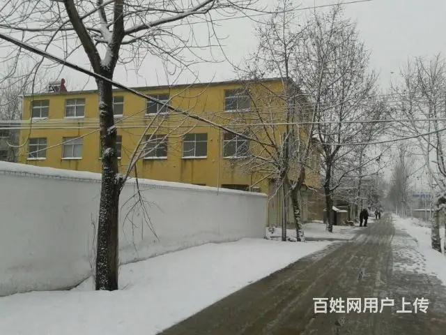 480平入村龙头位置东十里铺自建框架 - 图片 2
