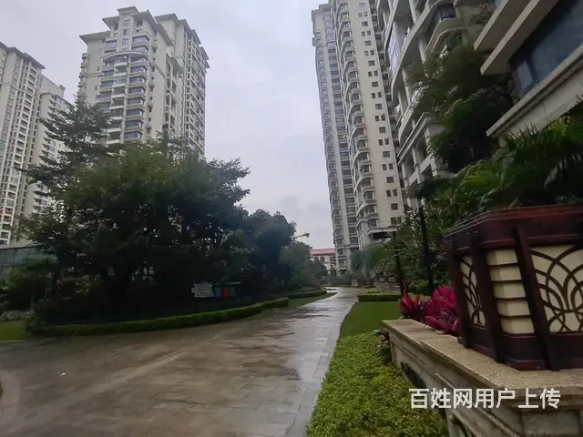 横琴 荔枝湾 精装3房 干净整洁 拎包入住 - 图片 10