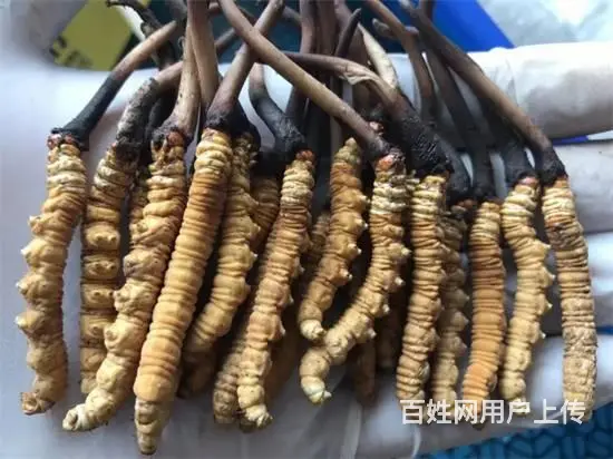 开封回收洋酒红酒价格统统调整 - 图片 2