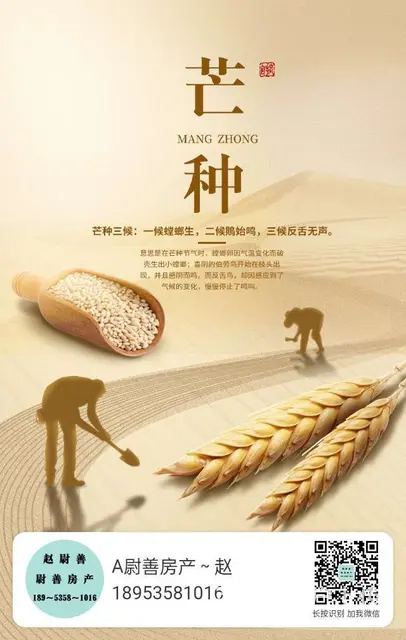 ?阳光花园，电梯122平，三室，毛坯房，73.9万，带地下 - 图片 7