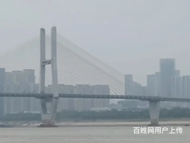 找个伴 - 图片