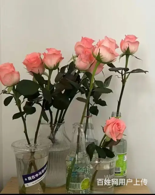 ❤️真心寻找有缘的你❤️ - 图片