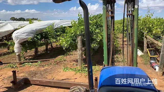 广元出国务工急招澳大利亚木工安全可靠 - 图片 4