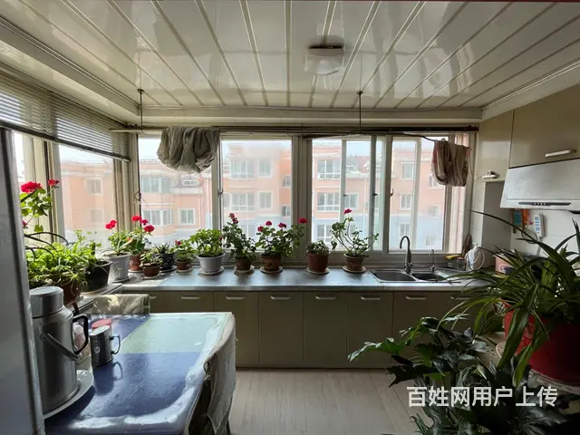 城南新苑北区5楼70.87平三阳格局简装价格可议 - 图片 4