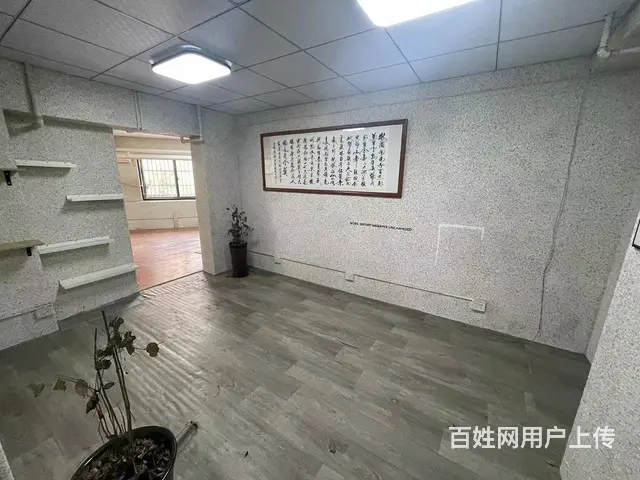 （51旺铺推荐）琼山区府城80平带粮证便利店转让 - 图片 5