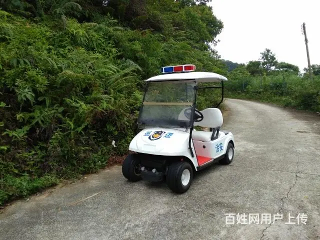 大量巡逻车，电动观光车出售 - 图片 11