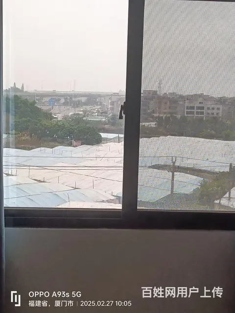 房屋出租 - 图片 4