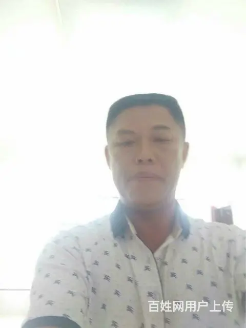 单身离婚男找老婆 - 图片 3