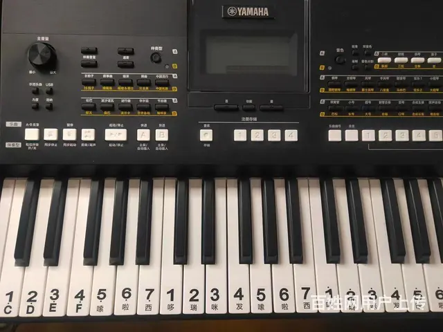 雅马哈KB-281KB290电电子琴特价 - 图片 1