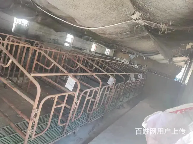 养猪场求租 - 图片 8