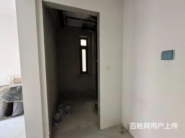 上新外滩首.府1带2下叠  带花园 毛坯 价可谈  有车位 - 图片 11