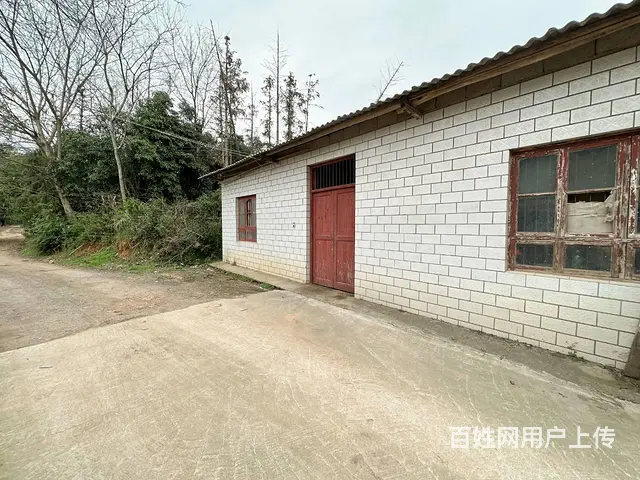 （老板本人）岳麓区含浦场地带整栋房屋出租  6167 - 图片 10