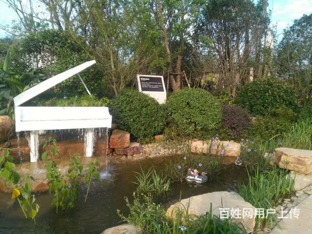 鸿坤理想城再续热销传奇 一出大滁城 就买理想城 - 图片 12