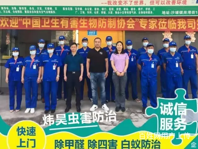 清远清城专业杀虫多少钱 - 图片 2