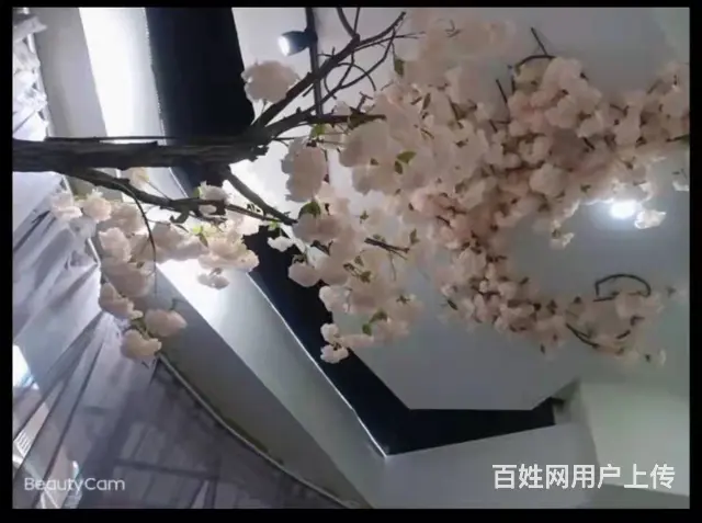 7352(七P)个人城西海湖新区金街北街大型美容店带租户转让 - 图片 10