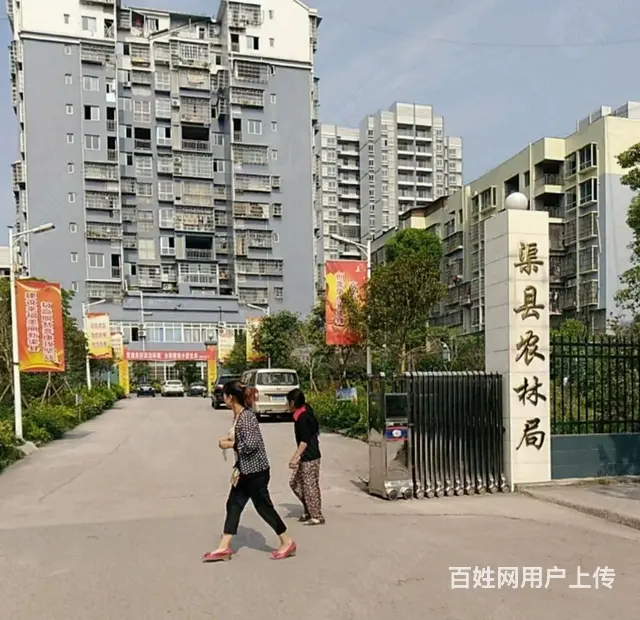 渠县农林局电梯清水房（文峰山公园） - 图片 1