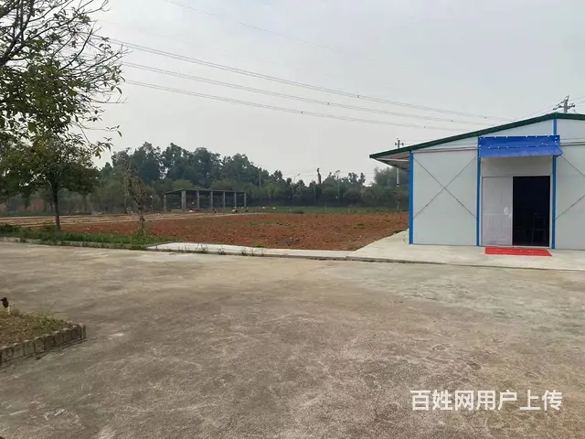 靖港古镇休闲旅游区旁50亩鱼塘➕10亩土地优价出租或合伙经营 - 图片 4