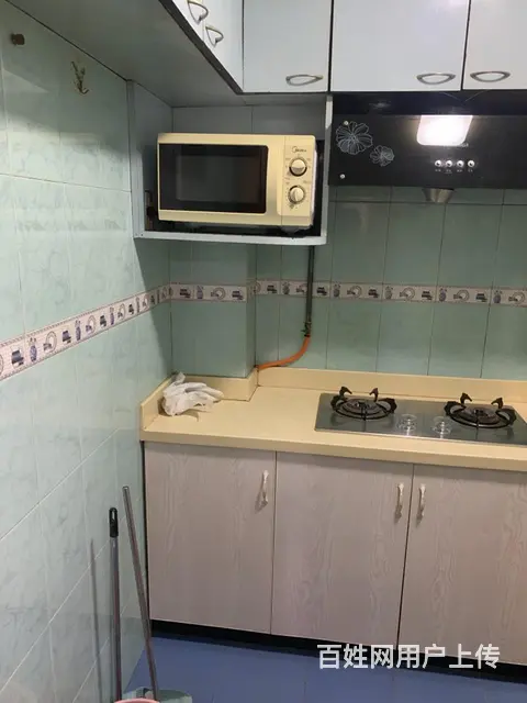 房屋出租 - 图片 4